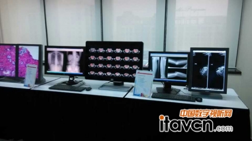 tOϵyQ